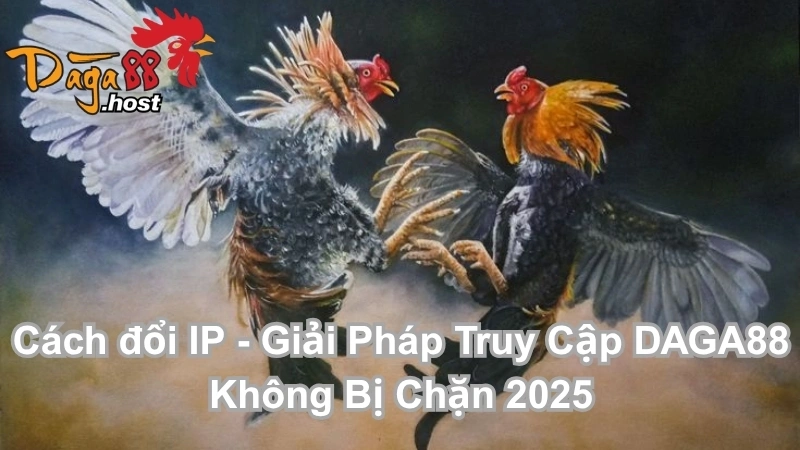 Cách đổi IP 