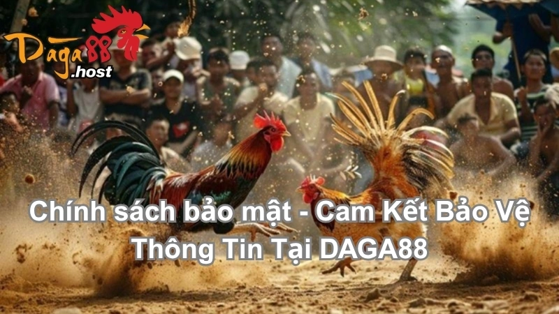 Chính sách bảo mật 