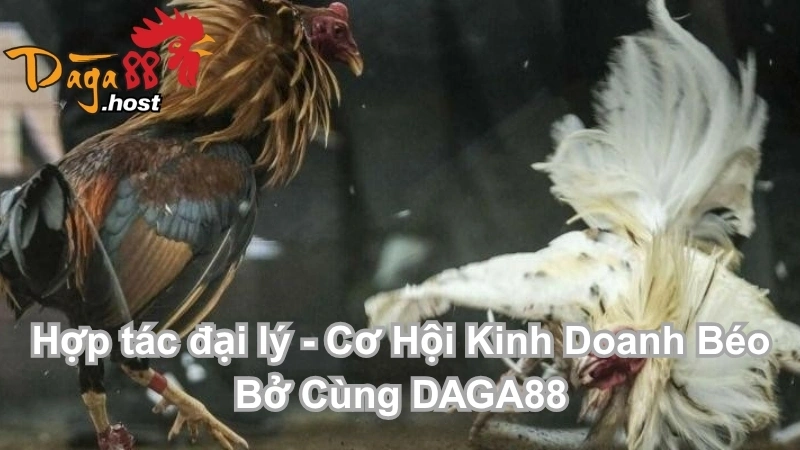 Hợp tác đại lý 